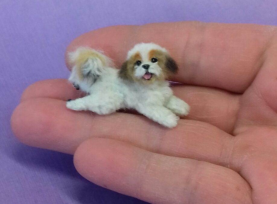 One of a kind handmade Shih tzu Dog 1:12 miniature