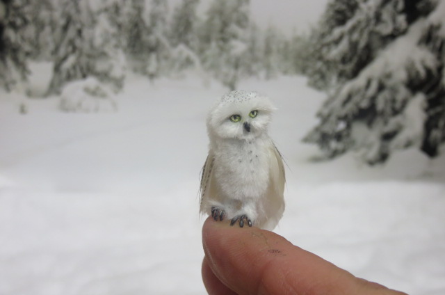 OOAK Handmade Miniature 1:12 scale Snowy Owl