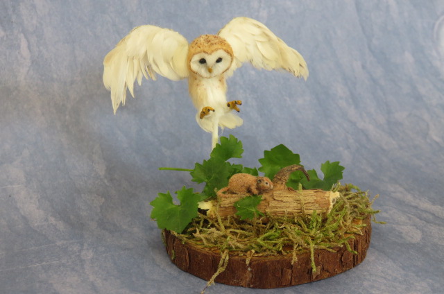 OOAk Handmade Miniature Barn Owl Scene 1:12 scale