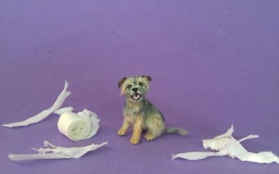 miniature Border Terrier
