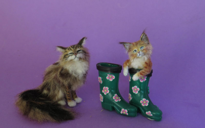 Kitty in wellington boot  ” Julius “